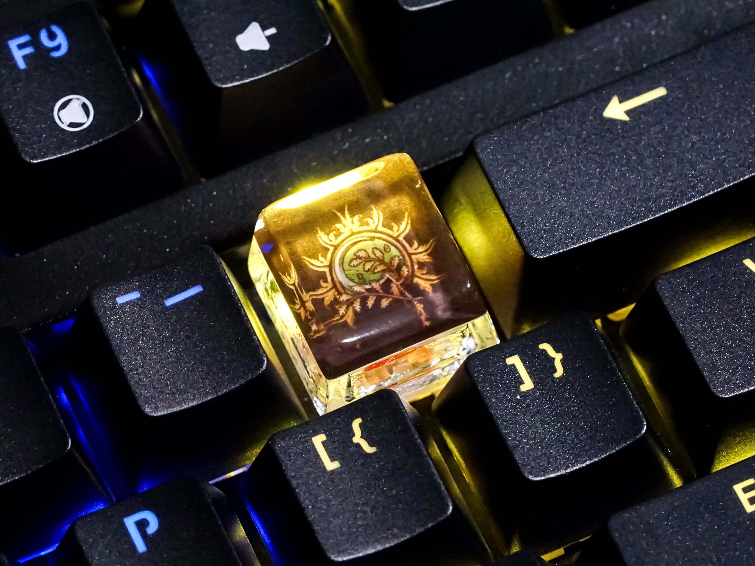 BG3 Druid Class Keycap, Baldur's Gate 3 Keycap, Gaming Keycap, Keycap for Cherry MX Switches Mechanical Keyboard