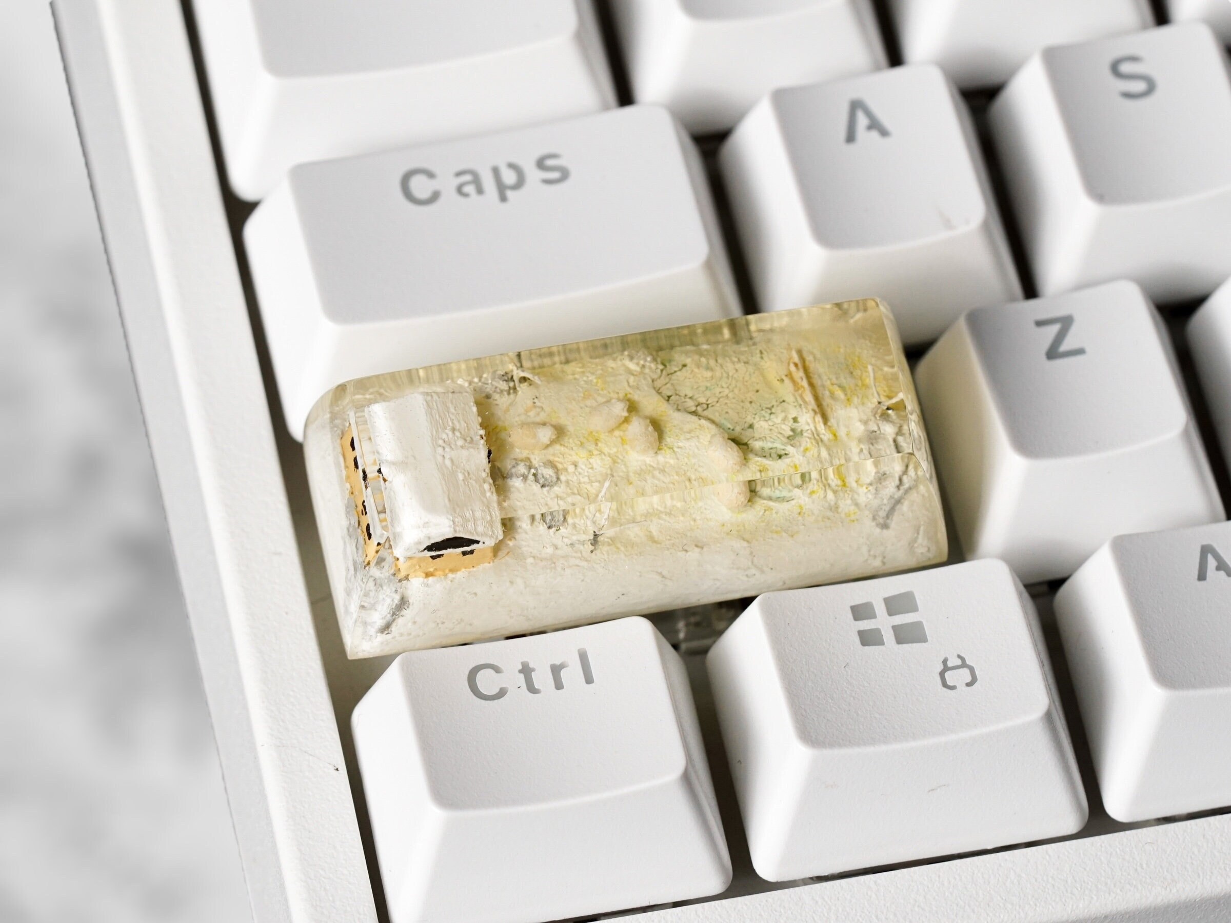 Winter Grassland Keycap, Shift/Enter Keycap, Artisan Keycap, Keycap for MX Cherry Mechanical Keyboard, Handmade Gift