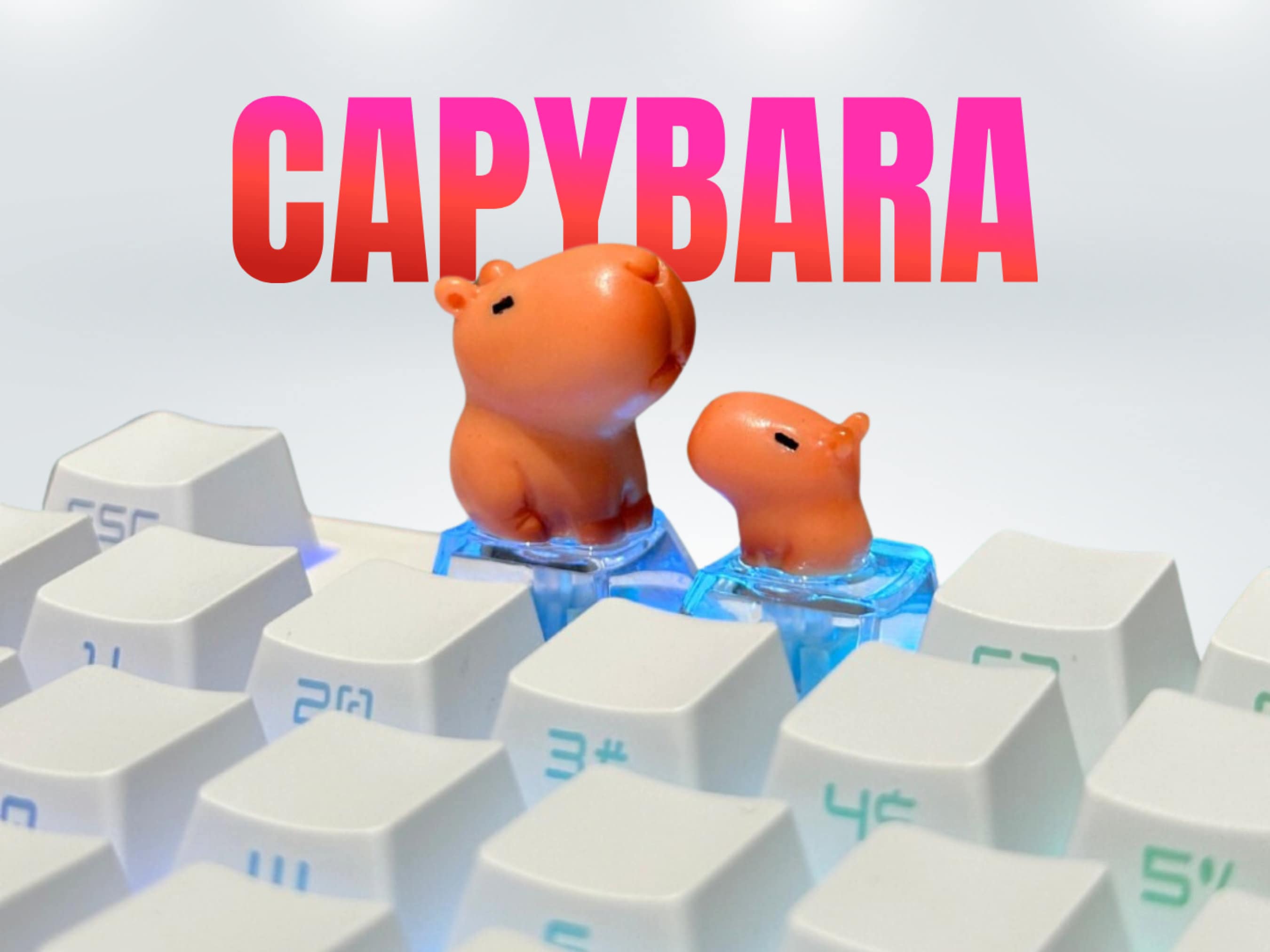 Capybara Keycap, Funny Keycap, Artisan Keycap, Keycap for MX Cherry Switches Mechanical Keyboard, Handmade Gift